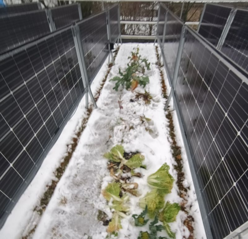 Can solar systems be combined with green roofs? When do vertical solar systems make sense? How big is the contribution of biochar and